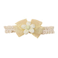 Lemon daisy baby headband — Cushion Daisy Crochet Baby Headband on white background