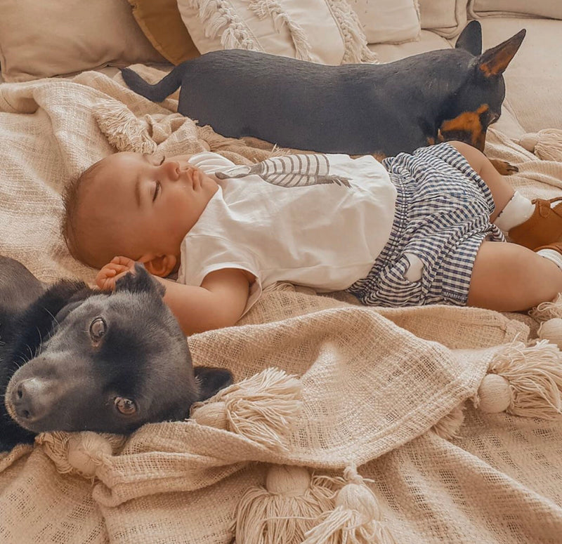 Cinnamon Leather Baby T Bar Shoe - Sommerfugl Kids